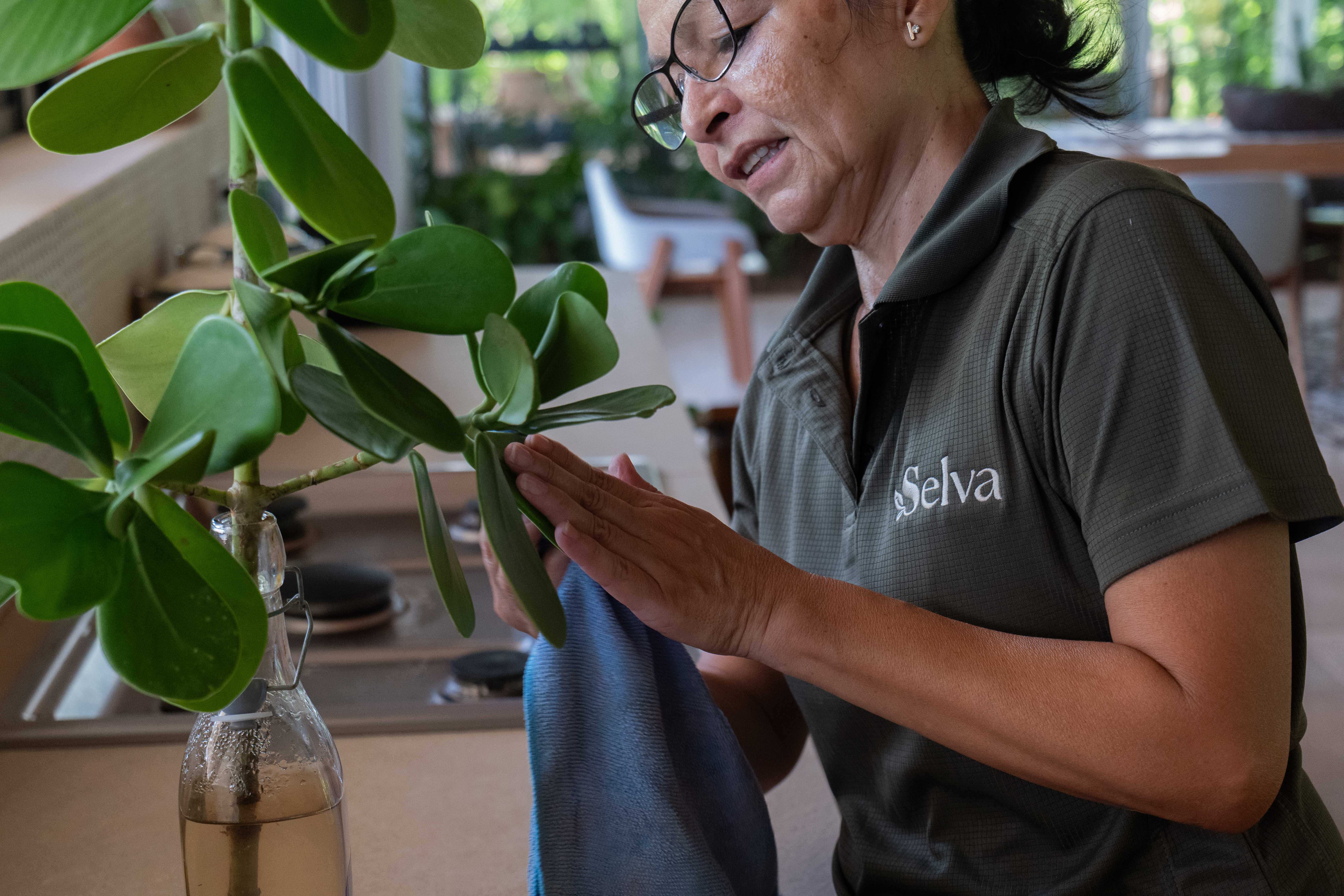 Selva Cleaning — care and attention to detail